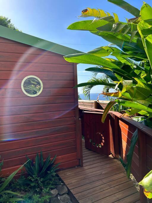 Bungalow, Gite Les Fleurs Du Colibri 波尔兰特 外观 照片